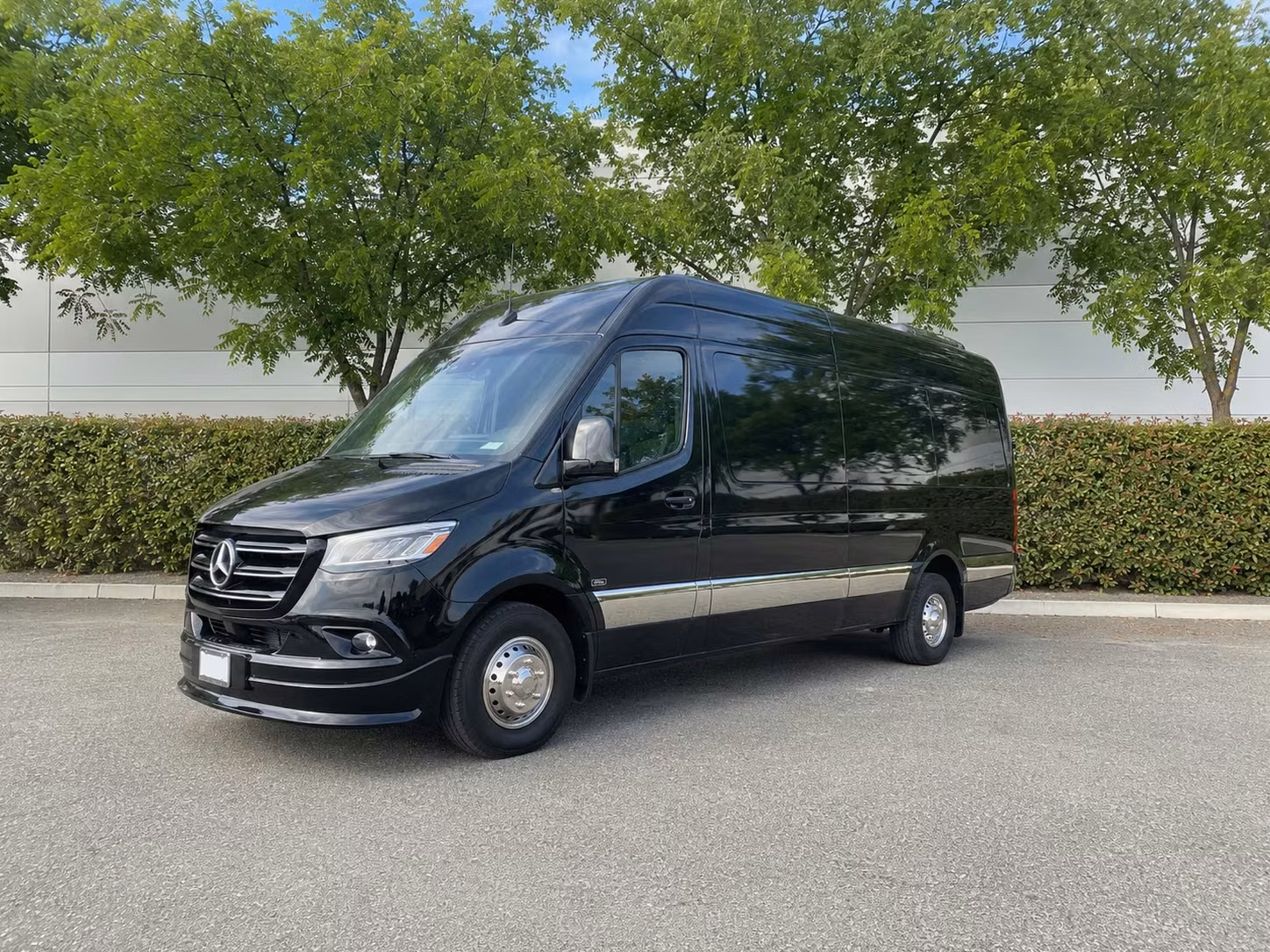sprinter van with driver